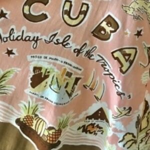 Tommy Bahama Cuba print skirt